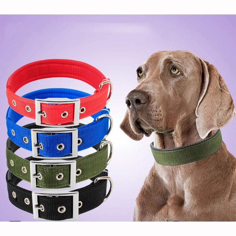 Collar de Nylon para Perros Petssmile™