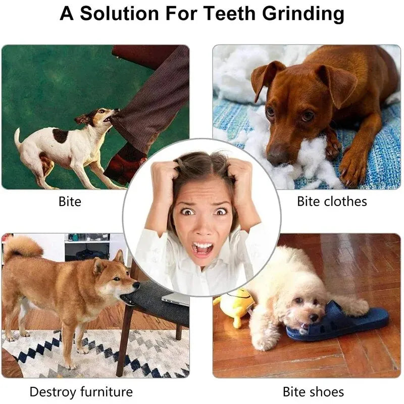 Pelota Mordedora Dental Petssmile™