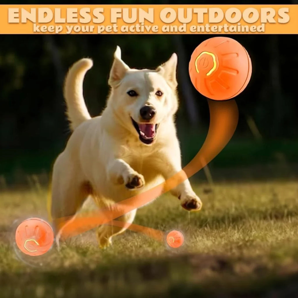 Pelota Rebotadora Eléctrica Petssmile™