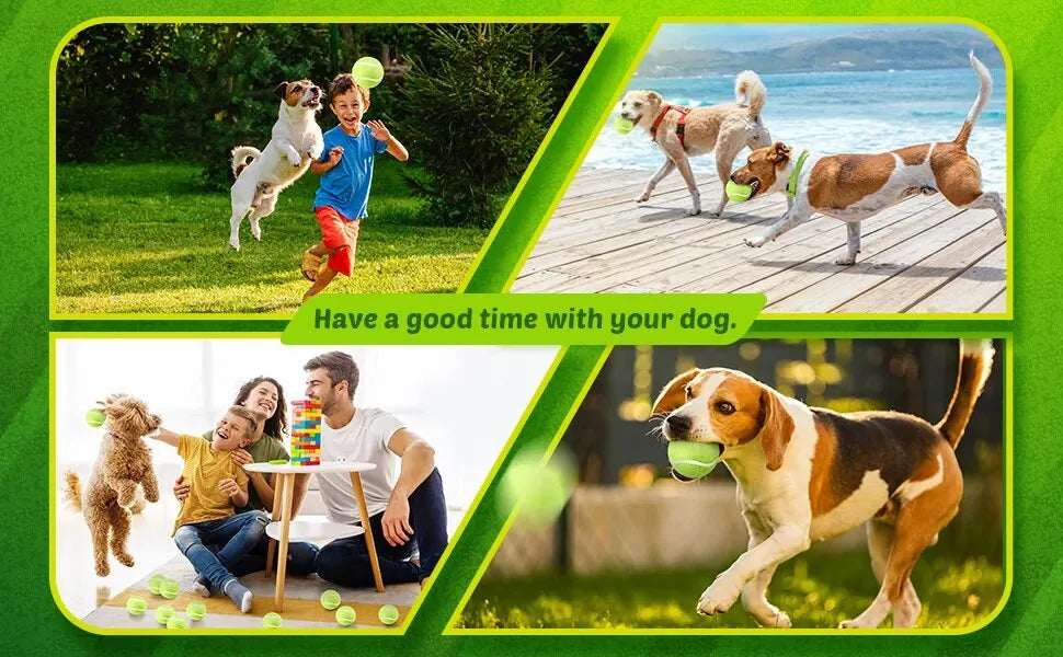Pelotas de Tenis para Perros (Pack de 12) Petssmile™