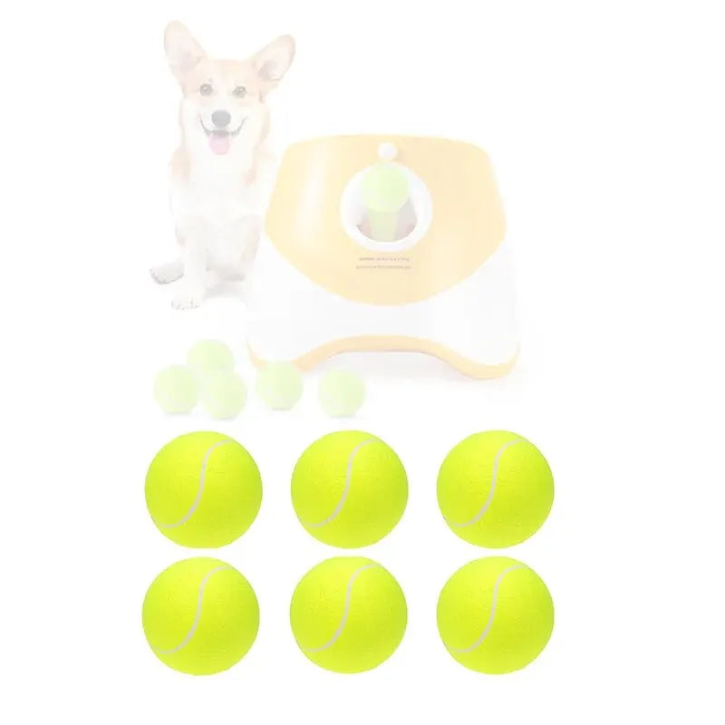 Pelotas de Tenis para Perros (Pack de 12) Petssmile™