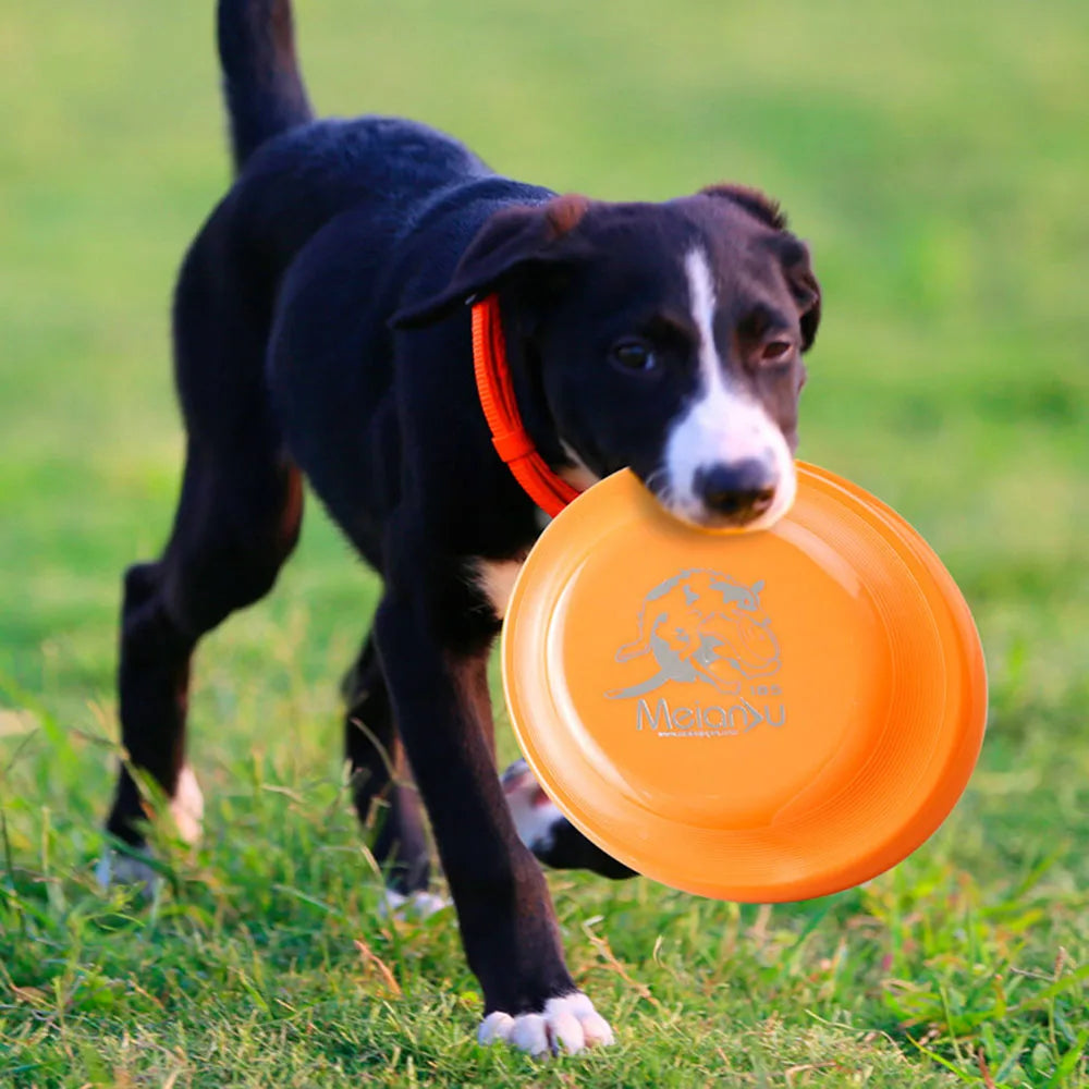 Disco Volador para Perros Petssmile™