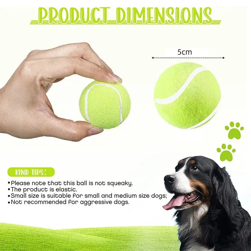 Pelotas de Tenis para Perros (Pack de 12) Petssmile™