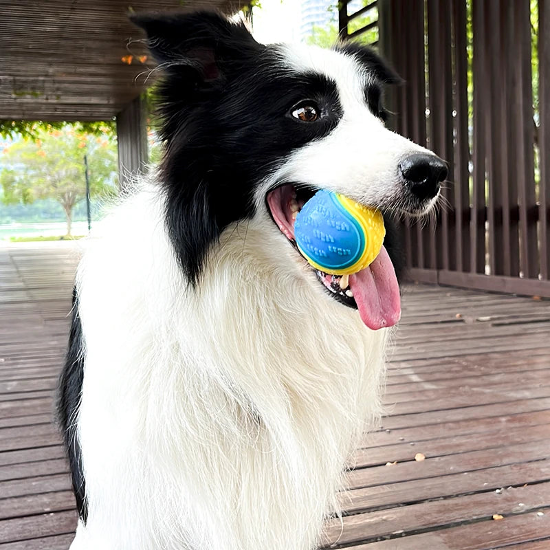 Pelota Mordedora TPR Dental Petssmile™