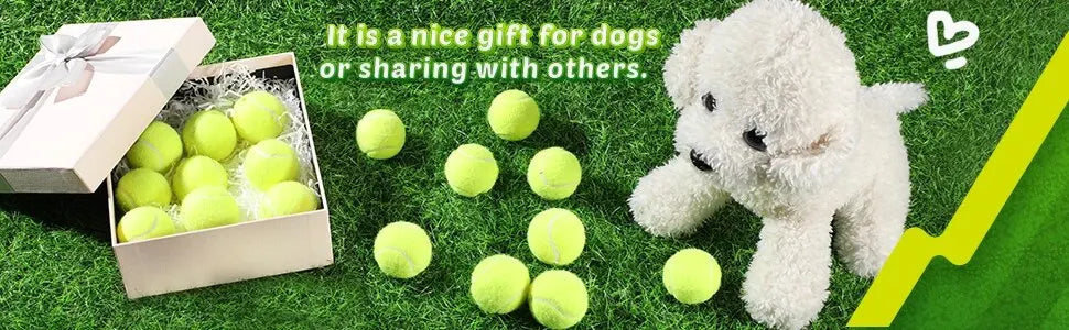 Pelotas de Tenis para Perros (Pack de 12) Petssmile™