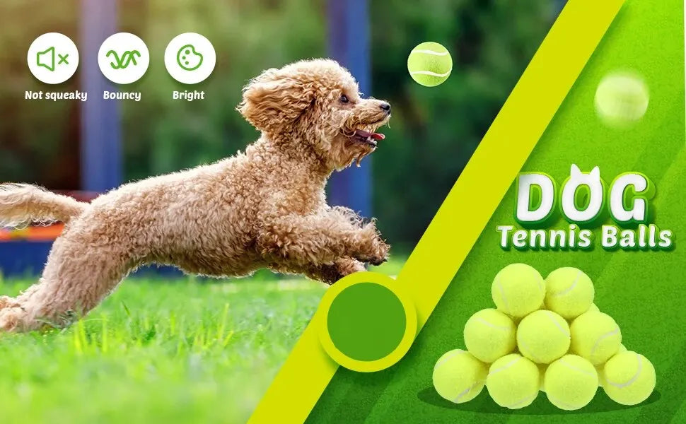 Pelotas de Tenis para Perros (Pack de 12) Petssmile™