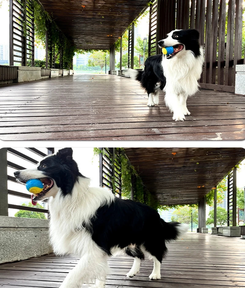 Pelota Mordedora TPR Dental Petssmile™