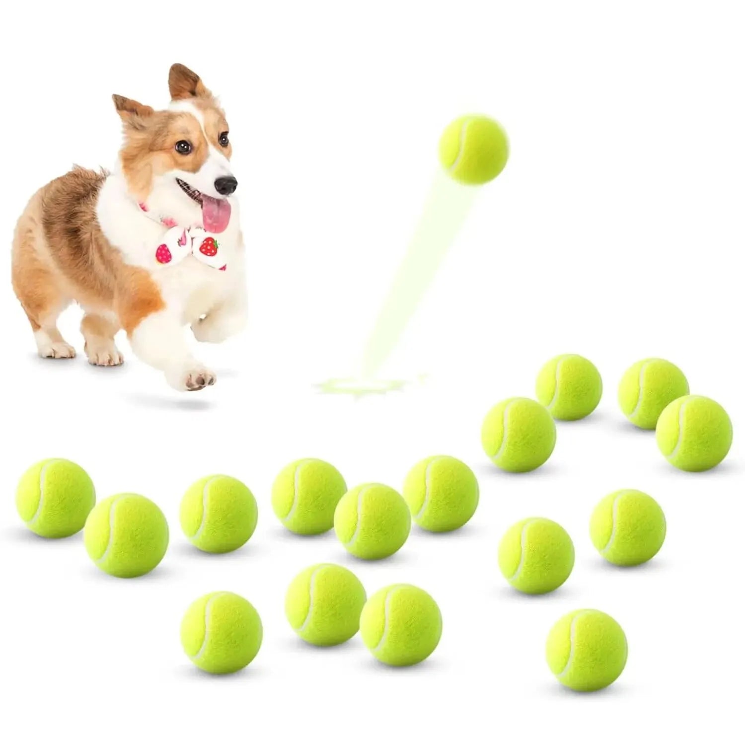 Pelotas de Tenis para Perros (Pack de 12) Petssmile™