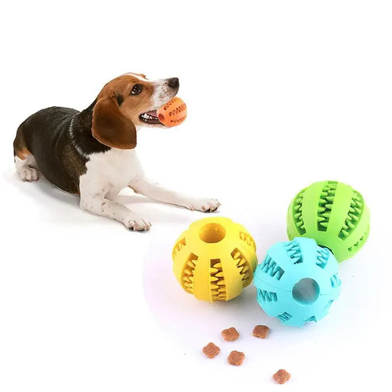 Pelota Mordedora Dental Petssmile™