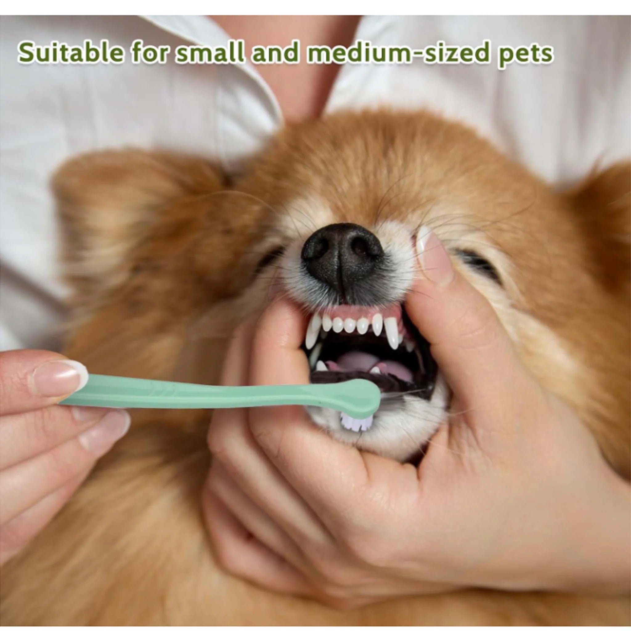 Cepillos Dentales para Mascotas (Pack de 3) Petssmile™