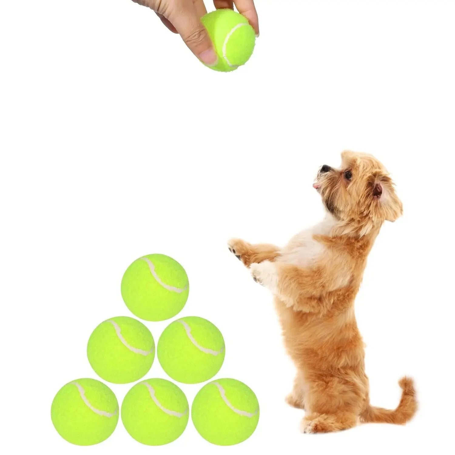 Pelotas de Tenis para Perros (Pack de 12) Petssmile™