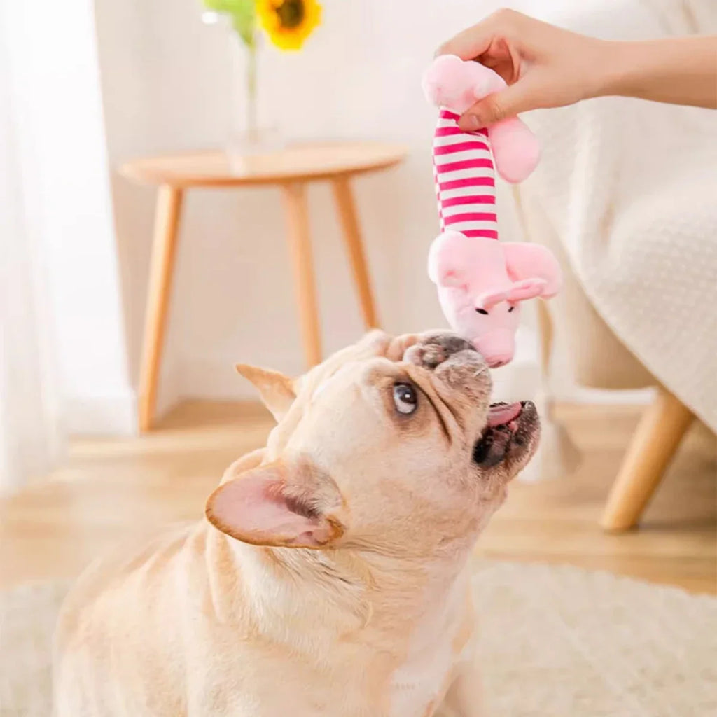 Peluche Bordado Antiestrés Petssmile™