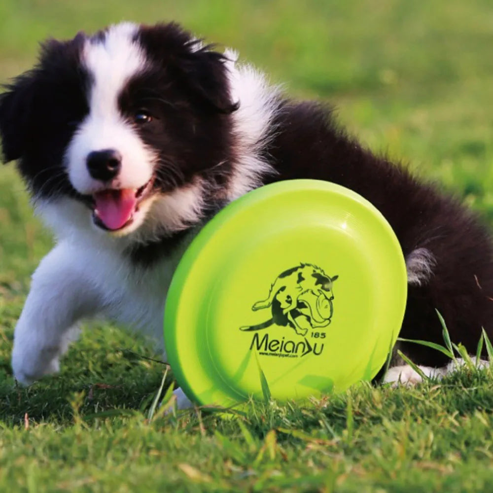 Disco Volador para Perros Petssmile™