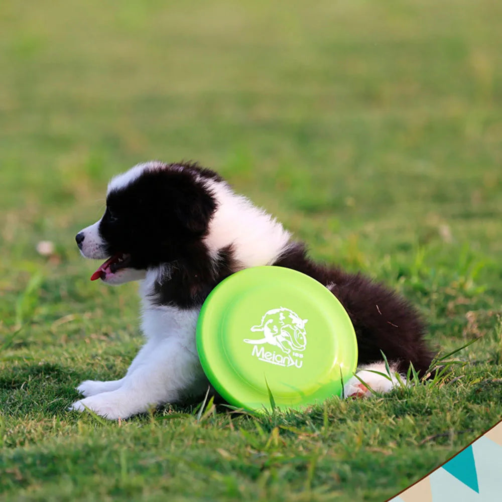Disco Volador para Perros Petssmile™
