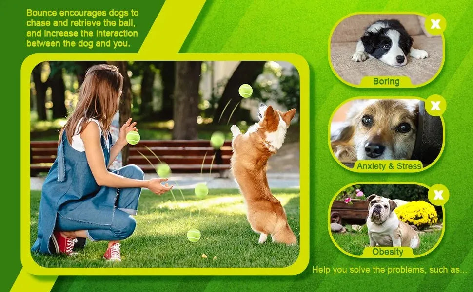 Pelotas de Tenis para Perros (Pack de 12) Petssmile™