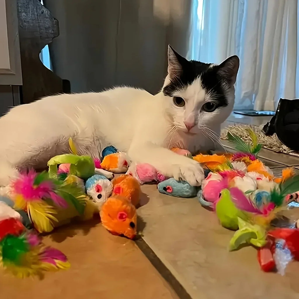 Pack de Juguetes para Gatos Petssmile™