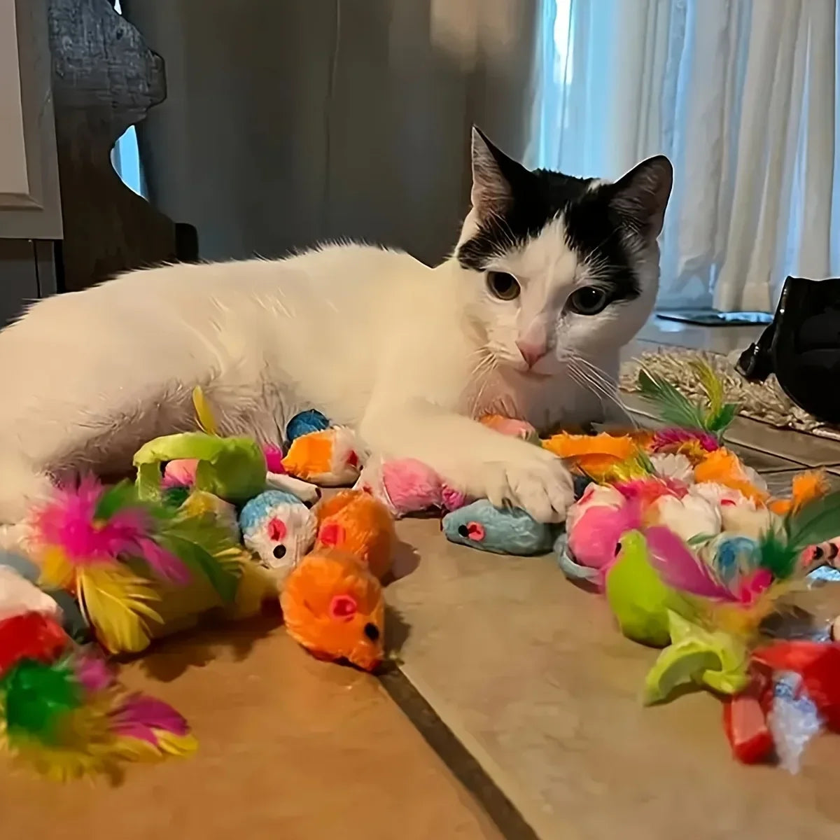 Pack de Juguetes para Gatos Petssmile™
