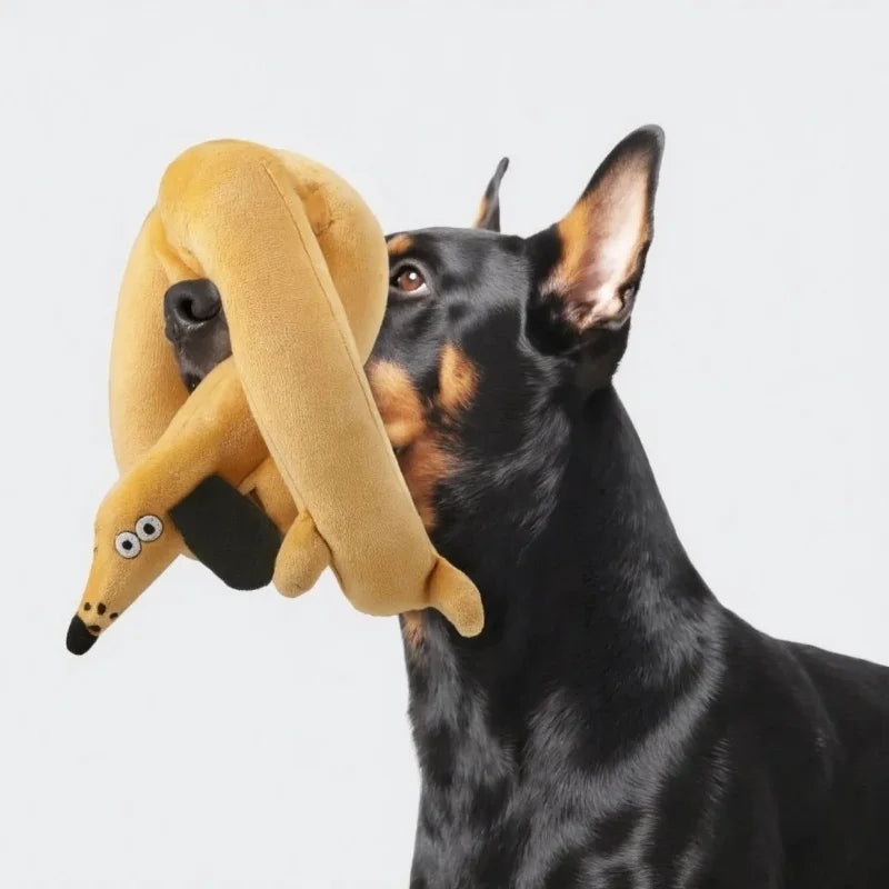Juguete Caracol Buscapremios Petssmile™
