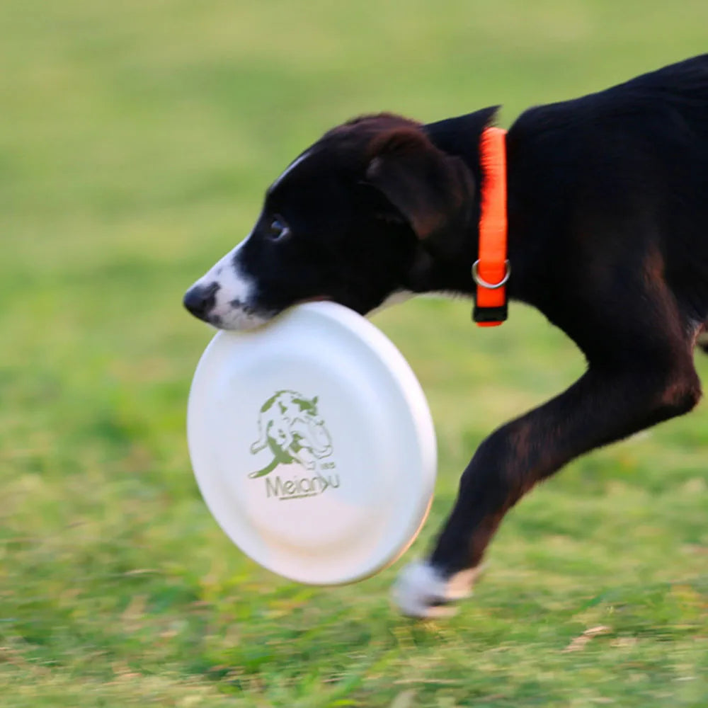 Disco Volador para Perros Petssmile™
